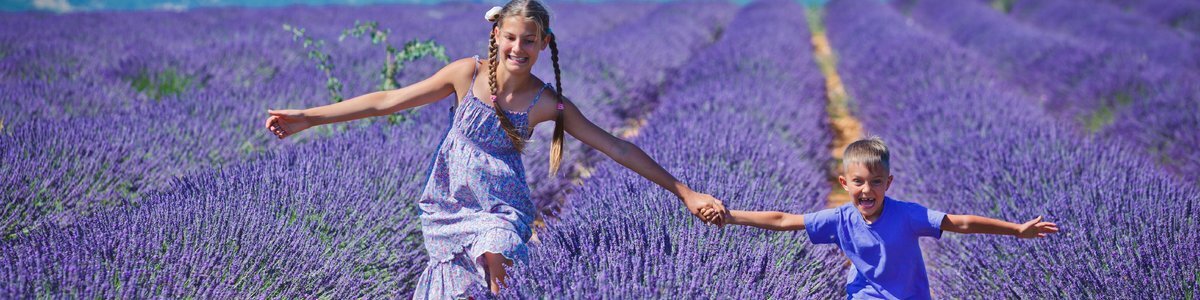 Top des maisons de vacances et chambres d'hôtes