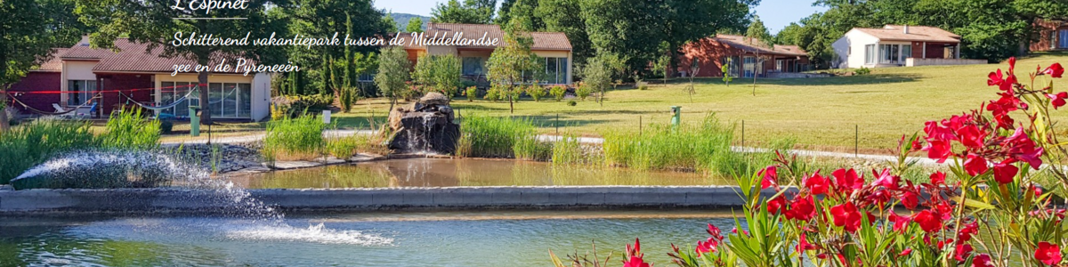 Top Vakantiehuizen | Bed and Breakfasts