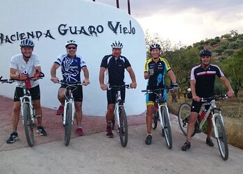 Top Holiday Homes and Bed and Breakfasts