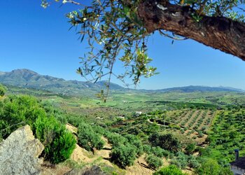 Top Holiday Homes and Bed and Breakfasts