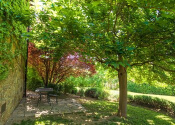 Top Holiday Homes and Bed and Breakfasts