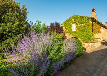 Top Holiday Homes and Bed and Breakfasts