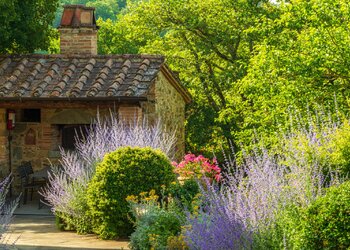 Top Holiday Homes and Bed and Breakfasts