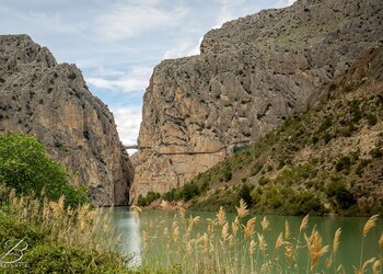 Top des maisons de vacances et chambres d'hôtes