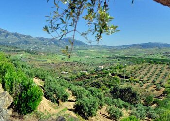 Top des maisons de vacances et chambres d'hôtes