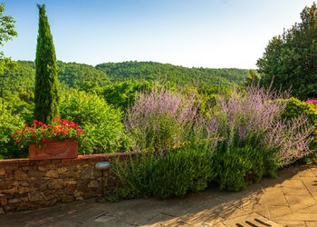 Top des maisons de vacances et chambres d'hôtes