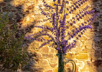 Top des maisons de vacances et chambres d'hôtes