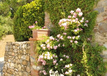 Top des maisons de vacances et chambres d'hôtes