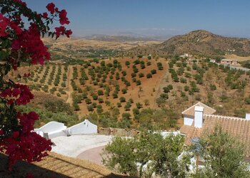 Top Vakantiehuizen | Bed and Breakfasts