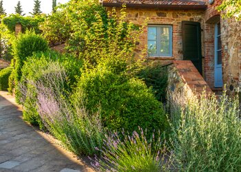Top Vakantiehuizen | Bed and Breakfasts