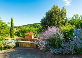 Top Vakantiehuizen | Bed and Breakfasts