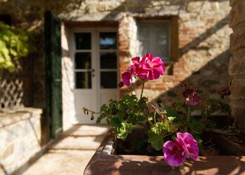 Top Vakantiehuizen | Bed and Breakfasts