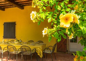 Top Vakantiehuizen | Bed and Breakfasts