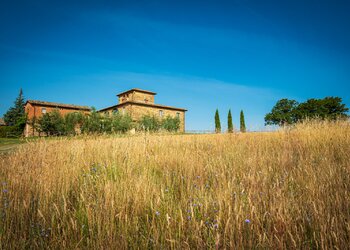 Top Vakantiehuizen | Bed and Breakfasts