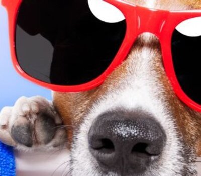 Top des maisons de vacances et chambres d'hôtes